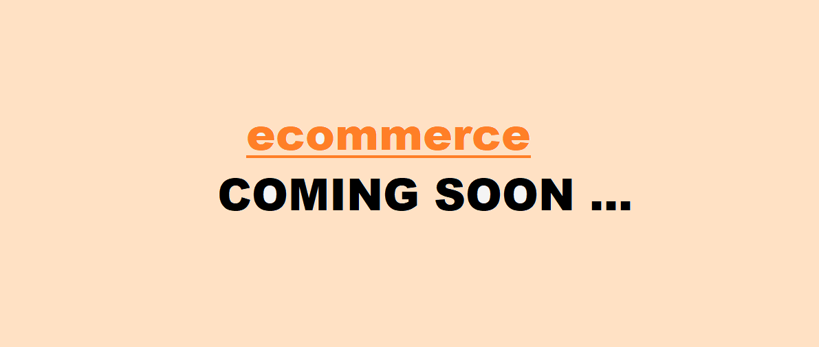 E-commerce Store screenshot